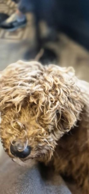 ������� �����: ��� ������������ ��������� ���� �����