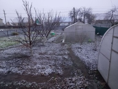 ��� �� �������� ��������� �����: ����� ������ �� ������ ����