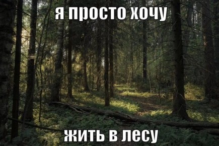 ����� ������� � ��������: ������ ������ ������� �������� ��������� ��� ������