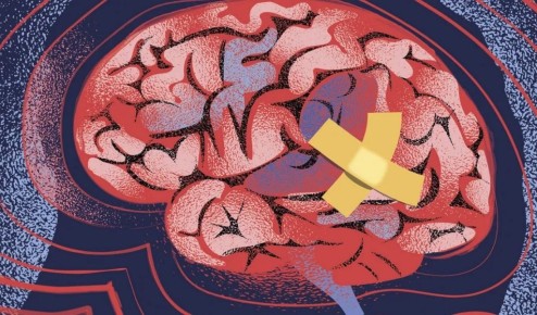 ���������� � �������: ����� �� ���� ����������?