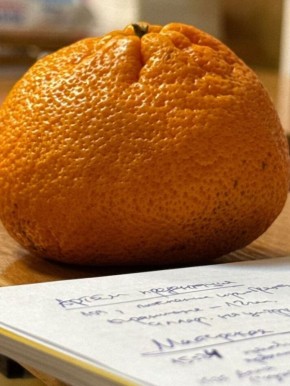 ������������ ������������ ����� � ������� ����������