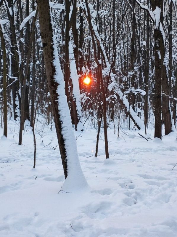 ��� �������� ������ �� ���� ���������� ��������