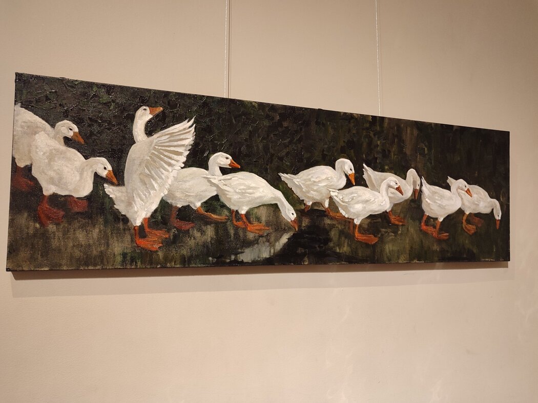 На льду: Как гуси вдохновляют нас делать шаги к переменам