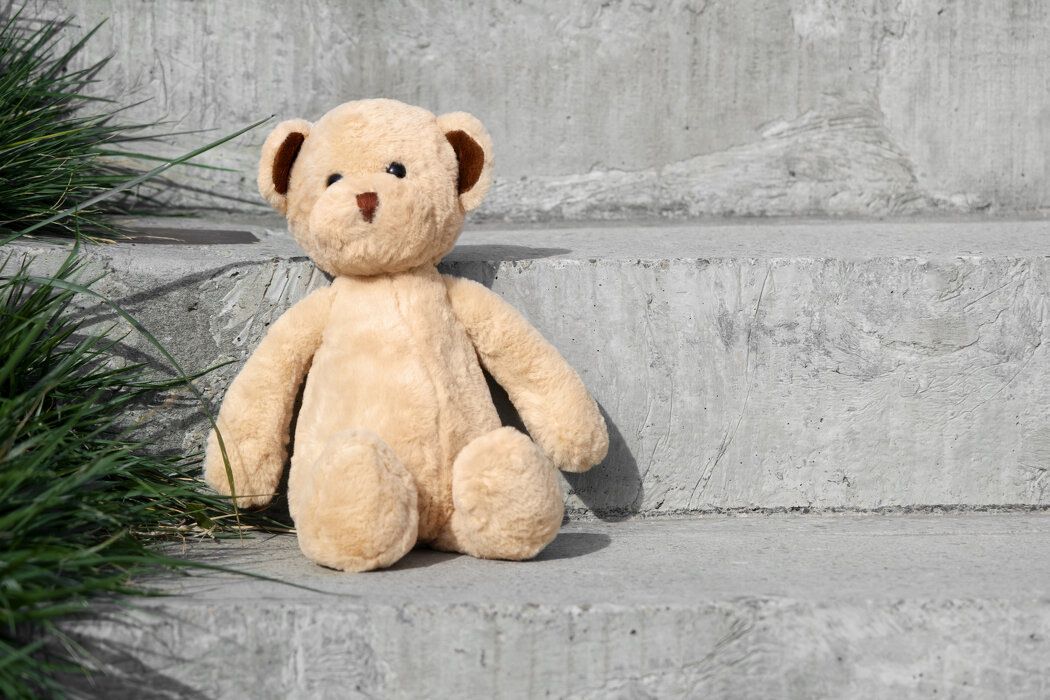 ������ ���� ������� � ��������� ���������: ������� ������