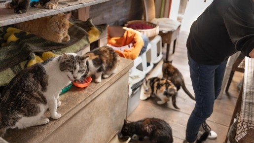 ������� �������� � ��������: ��������� � �������� �����