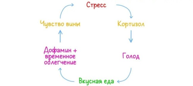 Почему заедание стресса — это не просто слабость?