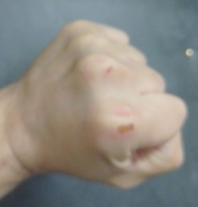 ����� ������� ��������� ����� �����������