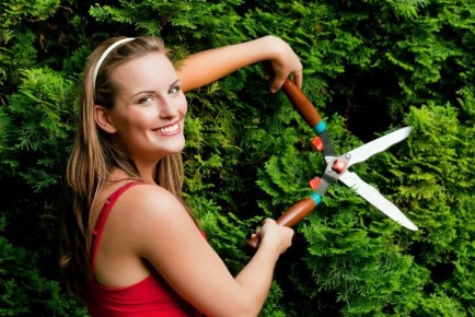 ������������� ���������: ��� �������� � ������������ ������ ������� ���������