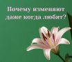 Почему измена происходит даже в любви?