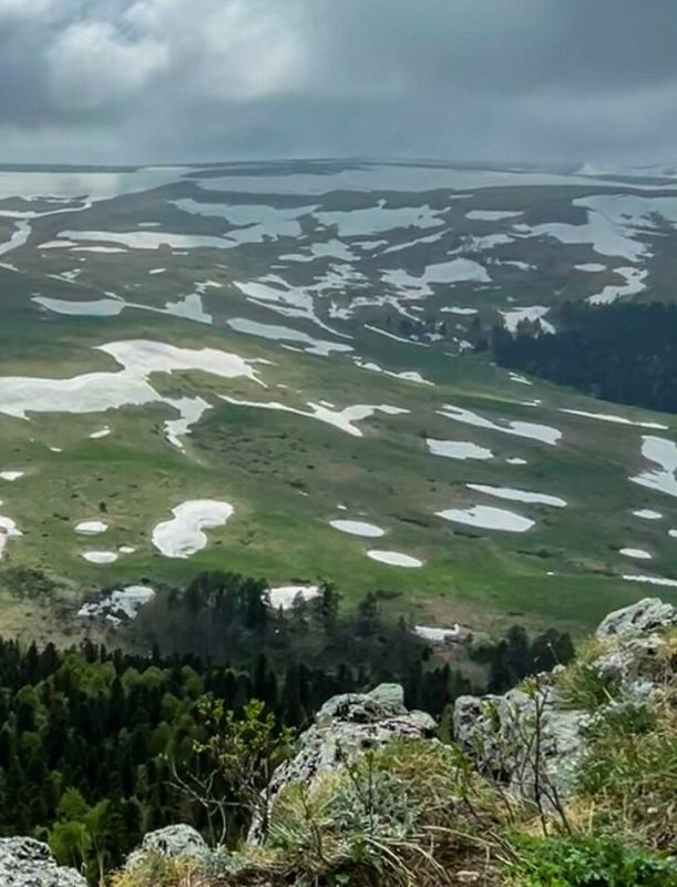 �������� ����� �����