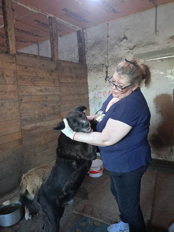 ��������� �� �����: ����� � ������ � �������� �����