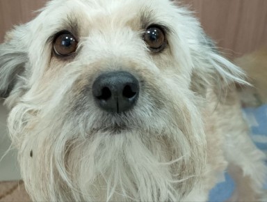 �������� �������� ������ �� �����������