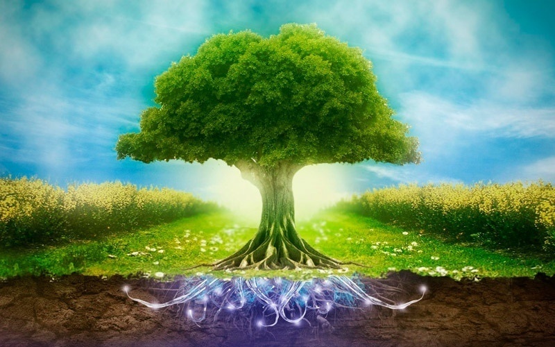 Пробуждение многовекторной радости