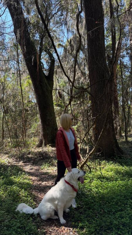 ��� ��������� ������������ � ���� ��������������