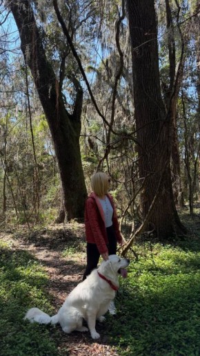 ��� ��������� ������������ � ���� ��������������