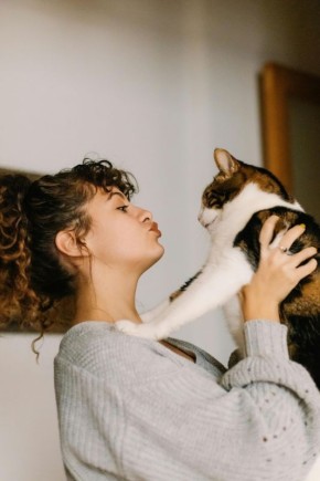 ������ �������� ����� �������� �� ������ ������: ����� ������ ����������