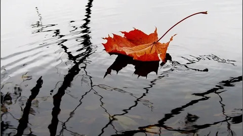 Как справиться с навязчивыми мыслями: 10 эффективных техник