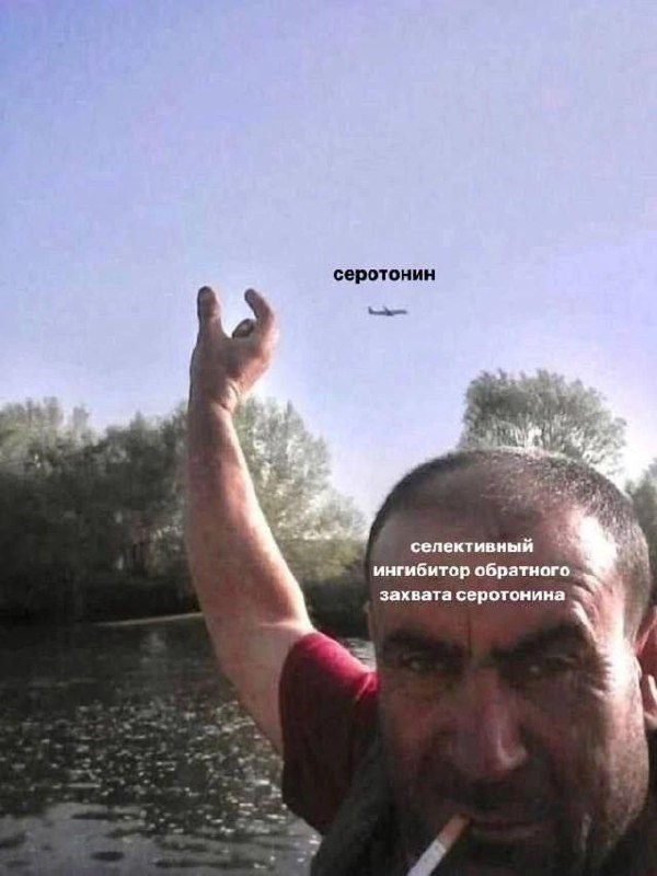 Необычные факторы серотонинового баланса