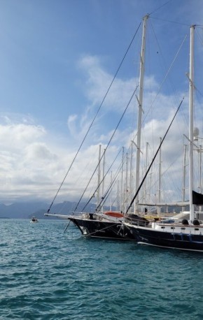 ��������� � �������� �����: ��� �������� ������������� �����������