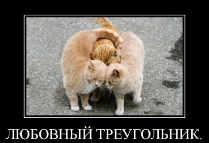 ����� ������������: ��� ���� ������ � �����, �������� ������ � ���������