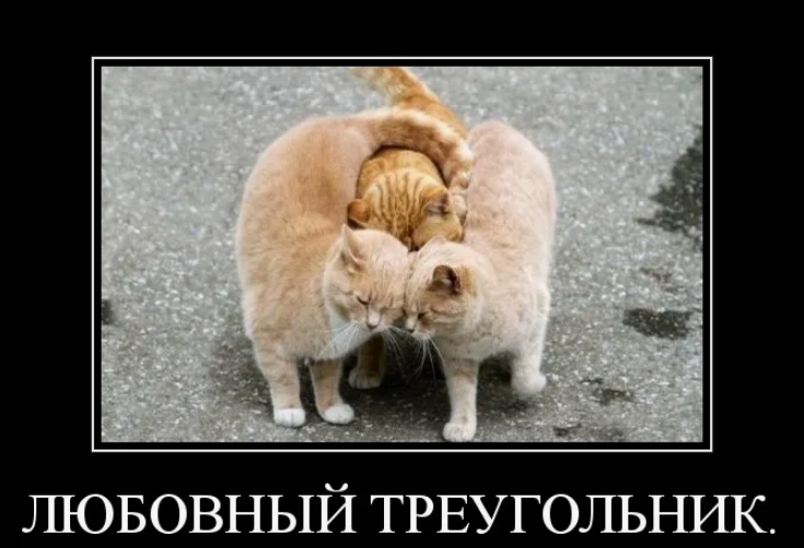 Тайны треугольника: Как жить вдвоем с женой, сохранив любовь к любовнице