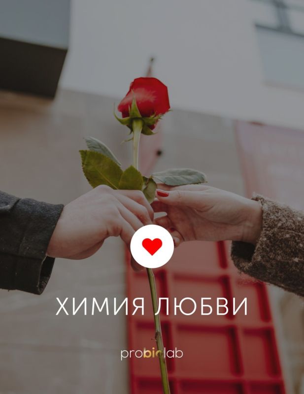 ������� �����: ��� ����� �� �������������� ���������