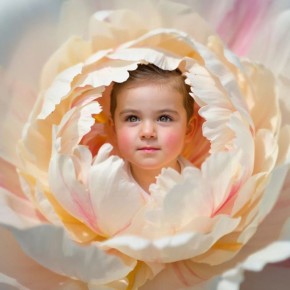 ������� ������ ���������� �����