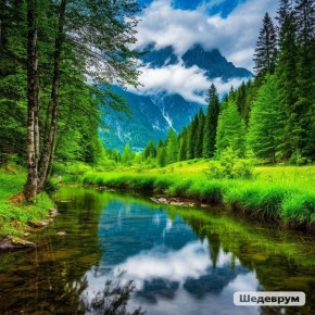 ��� �������� ���������� �������� ����� �����