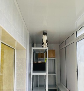 ������ ����� �������� �� ���� ���������