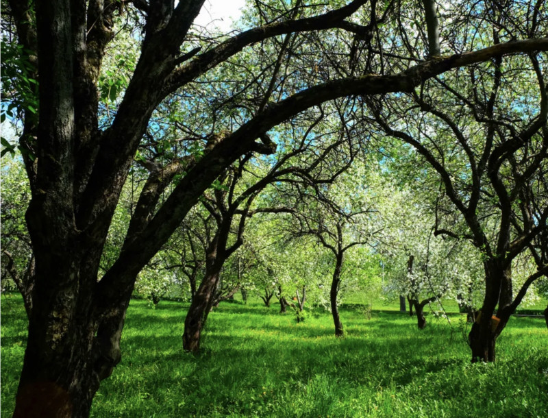 Когда любовь меняет судьбу