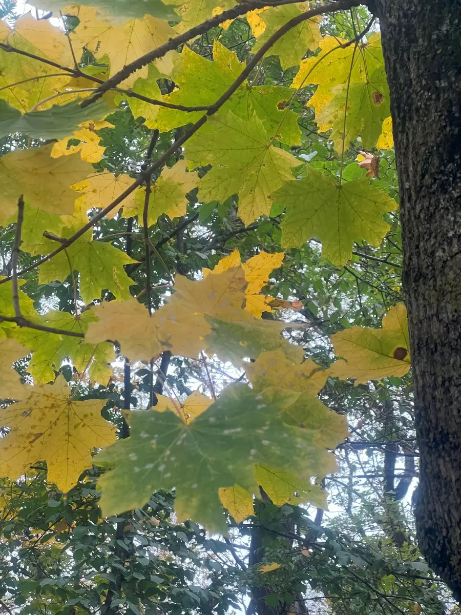 Как избавиться от обиды и начать жить счастливо