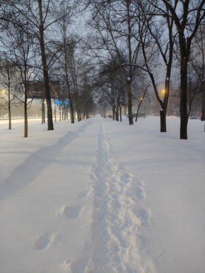 ������������� �����������: ��� ����� �� ����� �������