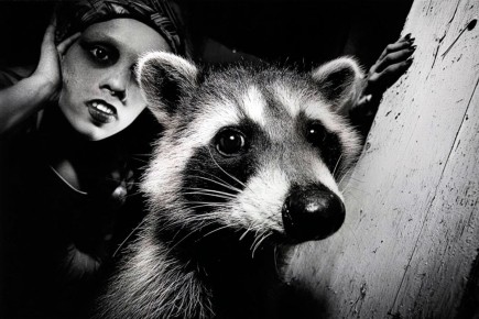 ������ �߻: ��� ������� ������� ������� � ��� � ���� ������