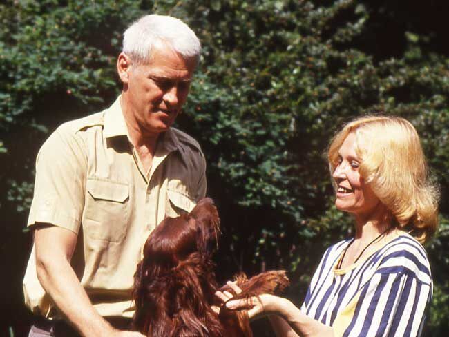 ����� ������ �����: ������� ����� � ��������� ���� � �����