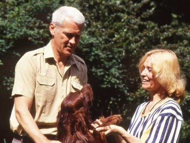 ����� ������ �����: ������� ����� � ��������� ���� � �����