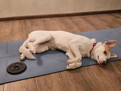 ��� ���������� ������ ��� � ������� �������