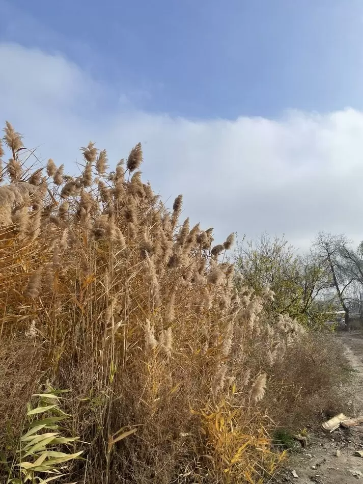 Учимся замечать удачу: как ожидания формируют наше восприятие