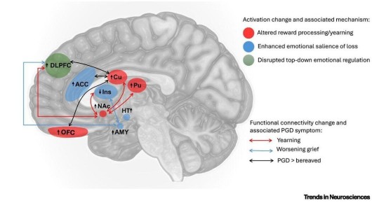 ���������� ������: ��� ���� ���������� �����������