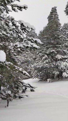 Свобода как высшее выражение любви: освободите друг друга от ожиданий