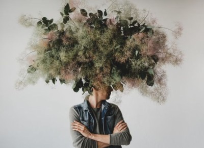 ��� ���� �������� ��������� ���������� ����