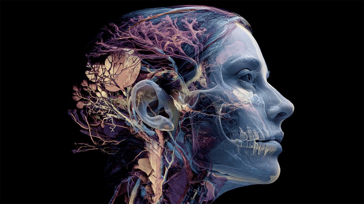 ������������ ��� ����� ����� �����������: ������ �� �������� ��������