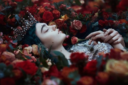 �������� ��������: ��� ��� ��������� ���� ������������