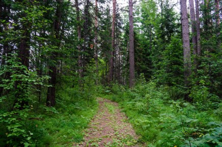 ����� ������ ���������� ������ ����� ��������������