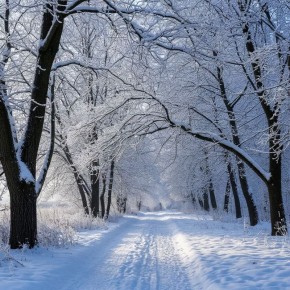 ������ ��� ������ ���: 10 �������� ���������������� ������� � �� ��������