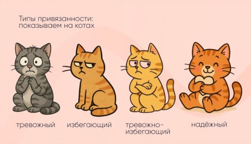 ���� �������������: �� ������� �� �������� �����