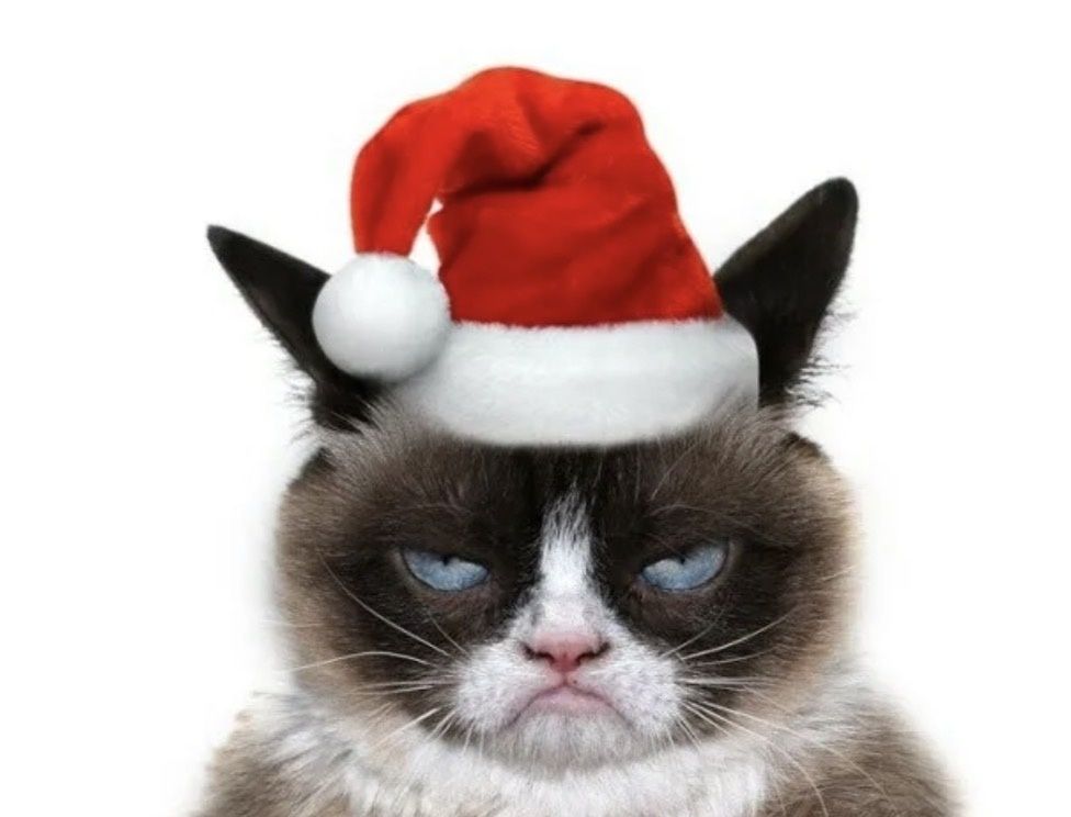 ��� �������� ����� ��������� ��������� � ��� � ���� ������