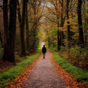 ��� ���� � ����������������: ��������� �������������