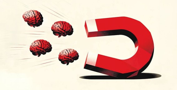 ������� �����: �����������, �������� �� �����