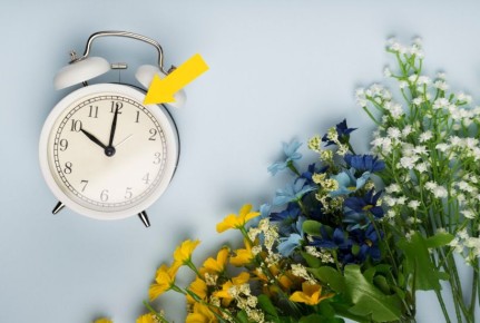 ������ �������: ��� ��� ������ �� ��� ��������