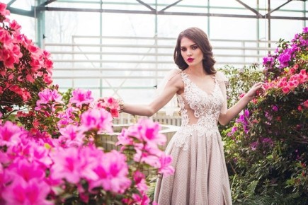 ������ �����